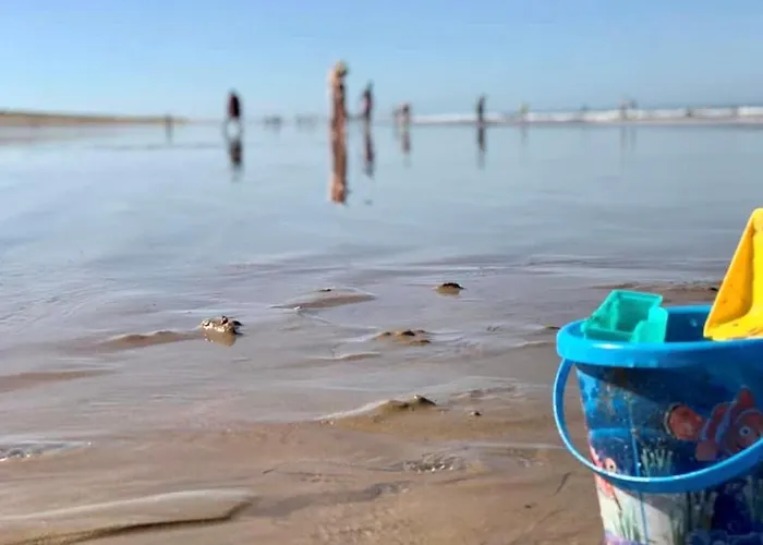 度假居 Maison T3 Confort Proche Mer, Piscine Chauffee, Tennis - Fr-1-231-301 *